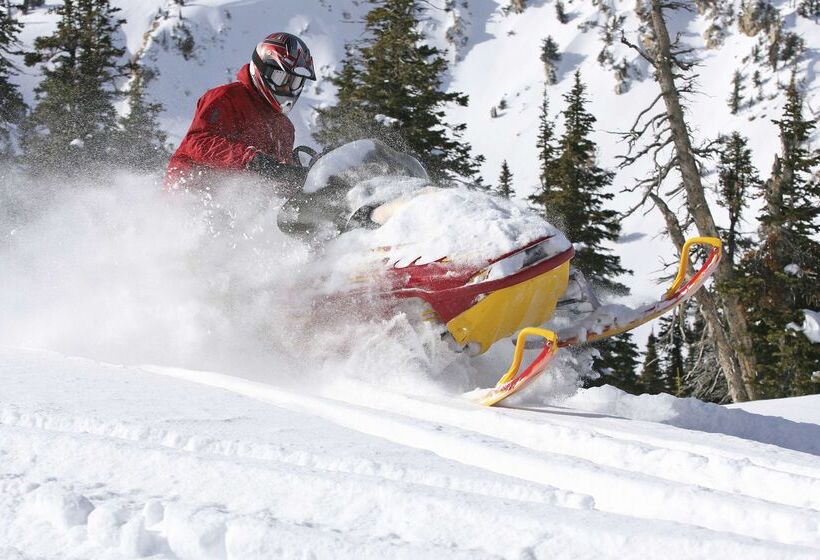 בית מלון כפרי Hampton Inn & Suites Boisedowntown