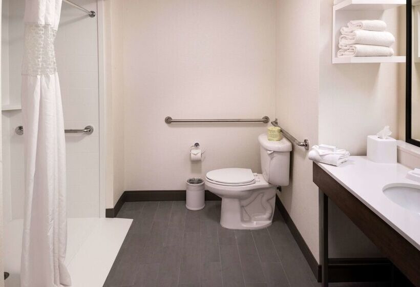 Отель Hampton Inn & Suites Carson City