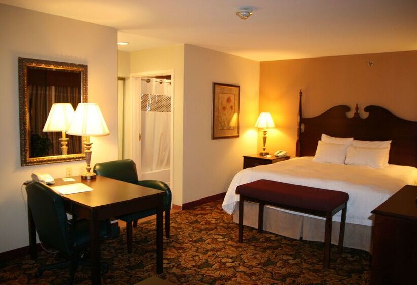 هتل Hampton Inn & Suites Del Rio, Tx