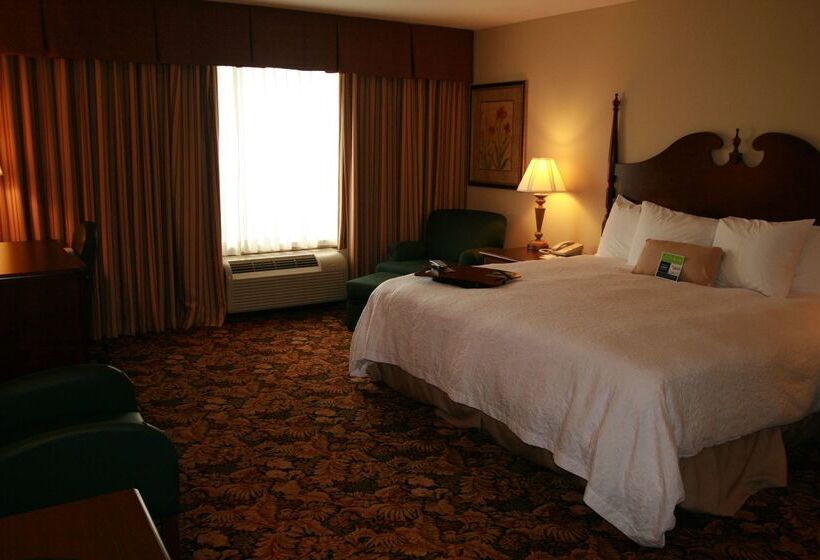 هتل Hampton Inn & Suites Del Rio, Tx