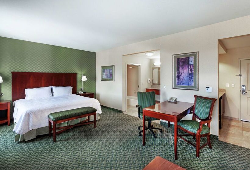 ホテル Hampton Inn & Suites El Paso West