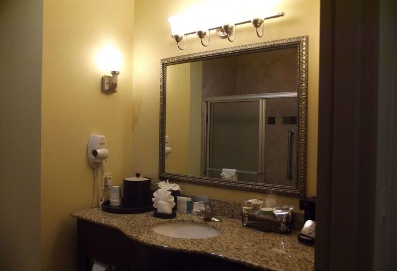 酒店 Hampton Inn & Suites Gainesville