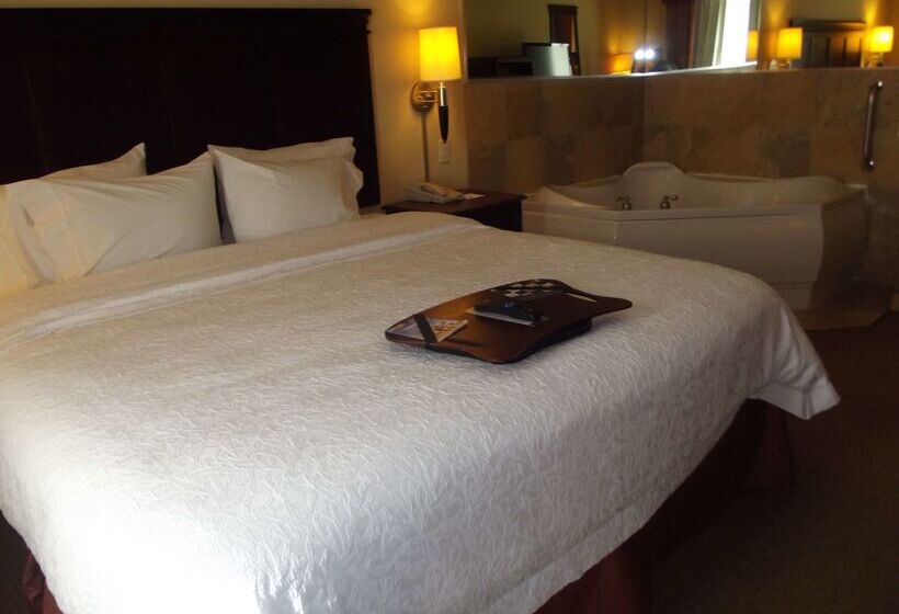 酒店 Hampton Inn & Suites Gainesville