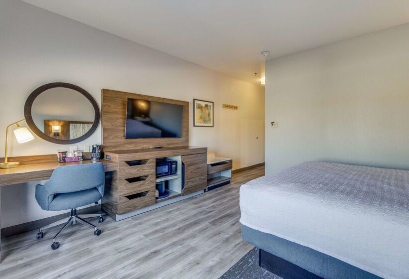 酒店 Hampton Inn & Suites Gainesville