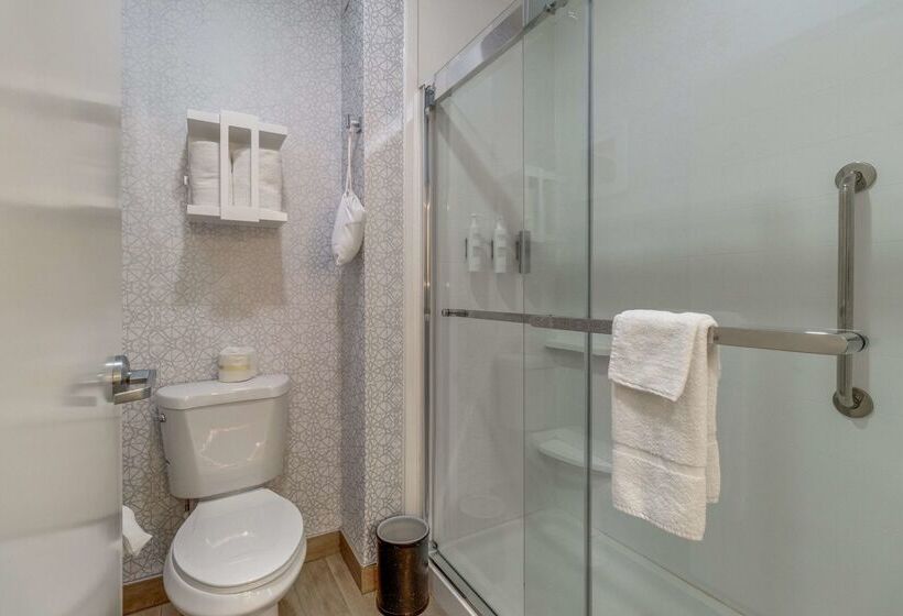 酒店 Hampton Inn & Suites Gainesville