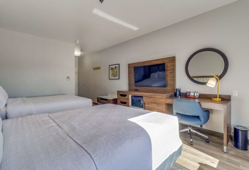 酒店 Hampton Inn & Suites Gainesville