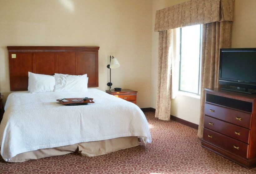فندق Hampton Inn & Suites Kingman