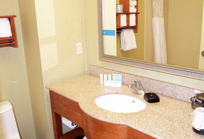 ホテル Hampton Inn & Suites Molinequad City Int L Aprt