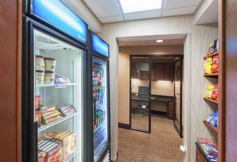 فندق Hampton Inn & Suites Morgan City