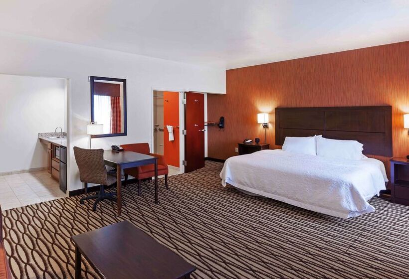 فندق Hampton Inn & Suites Morgan City