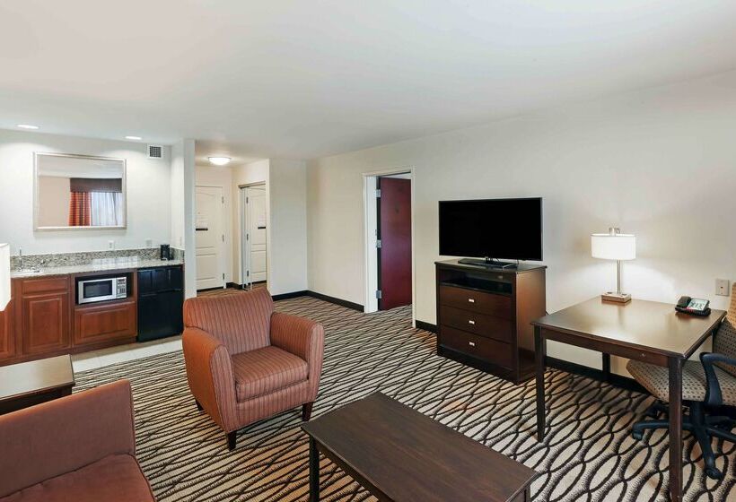 فندق Hampton Inn & Suites Morgan City