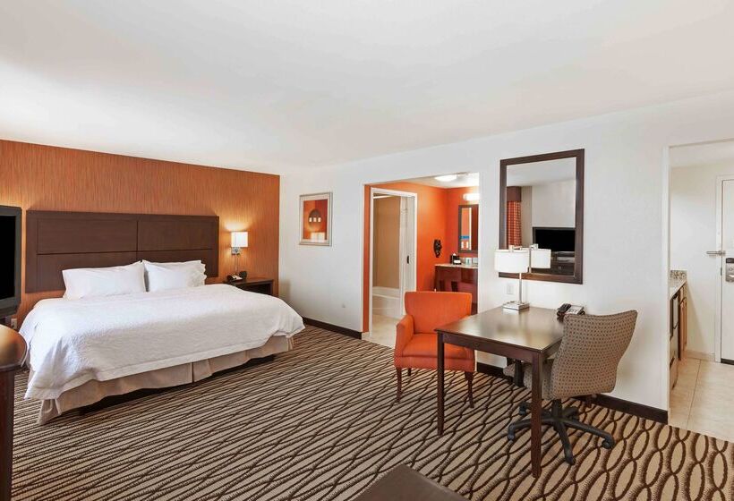 فندق Hampton Inn & Suites Morgan City