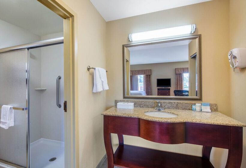 فندق Hampton Inn & Suites Oklahoma City South