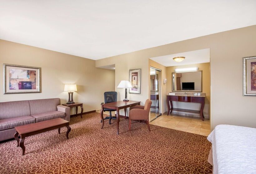 فندق Hampton Inn & Suites Oklahoma City South