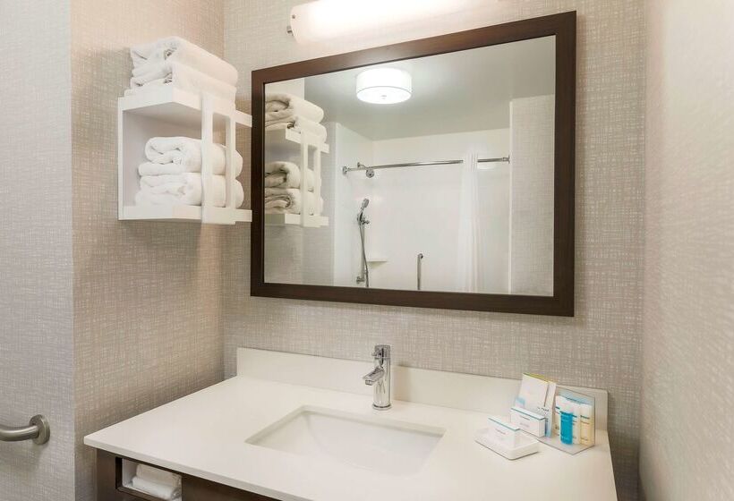 בית מלון כפרי Hampton Inn & Suites Pittsburgh Downtown