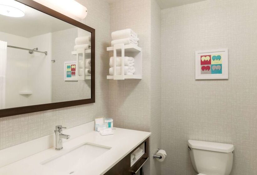 בית מלון כפרי Hampton Inn & Suites Pittsburgh Downtown