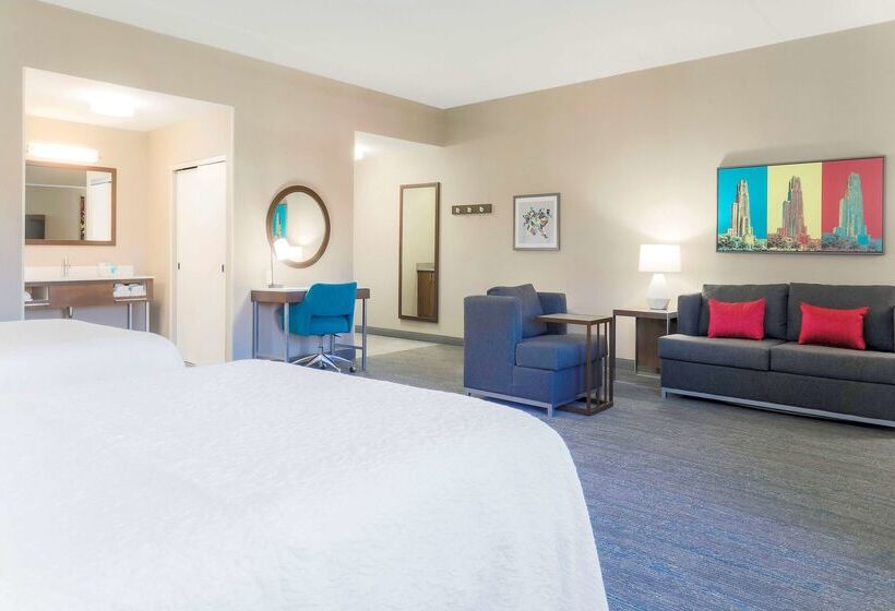 בית מלון כפרי Hampton Inn & Suites Pittsburgh Downtown