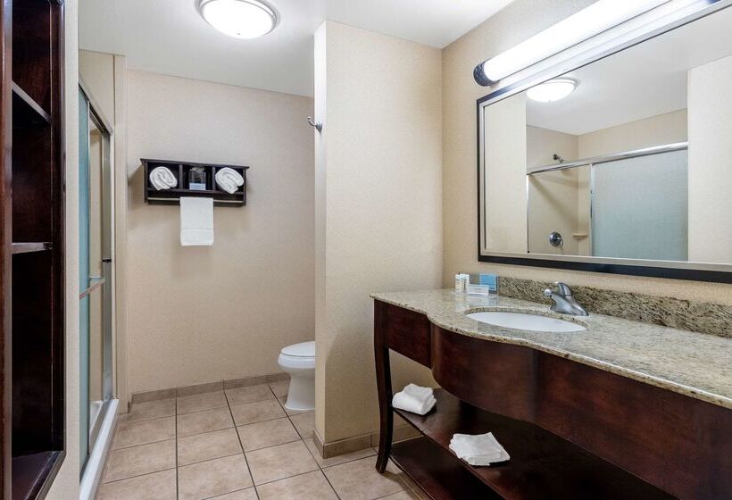 בית מלון כפרי Hampton Inn & Suites Sacramentoelk Grove Laguna I5