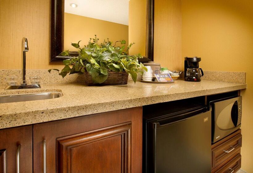 בית מלון כפרי Hampton Inn & Suites San Antonioairport