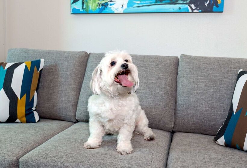 Отель Hampton Inn & Suites Sarasota/lakewood Ranch