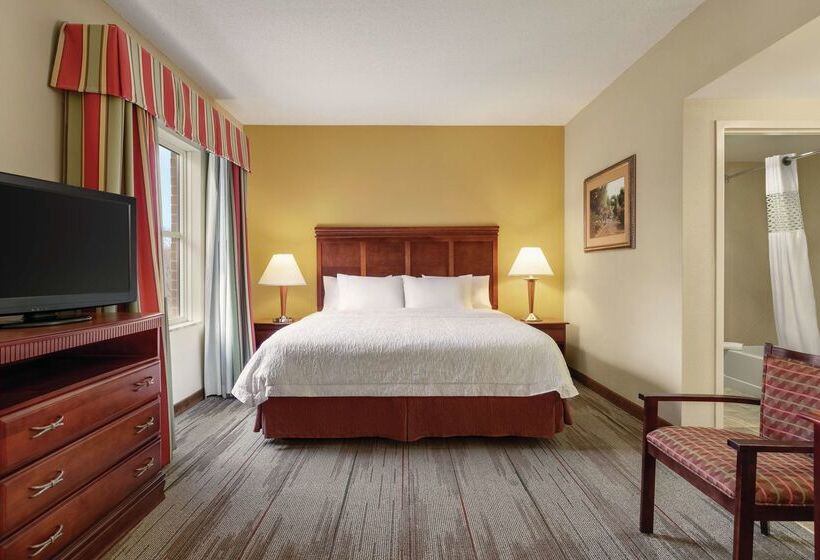 هتل Hampton Inn & Suites Williamsburg Historic District