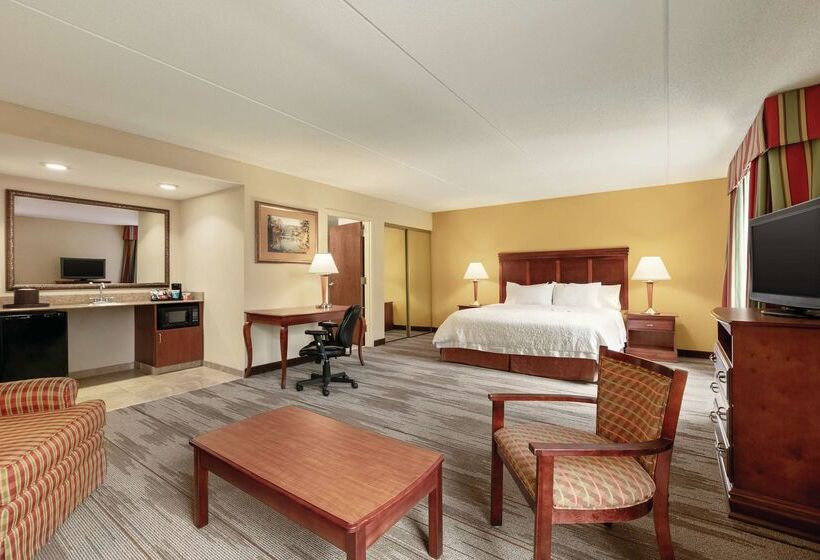 هتل Hampton Inn & Suites Williamsburg Historic District