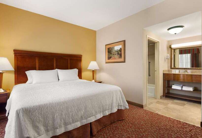 호텔 Hampton Inn & Suites Williamsburg Historic District