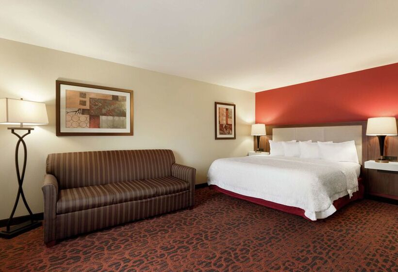 فندق Hampton Inn Wichita Fallssikes Senter Mall