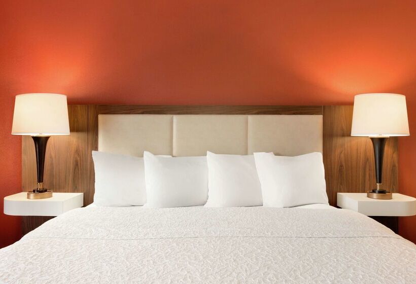 فندق Hampton Inn Wichita Fallssikes Senter Mall