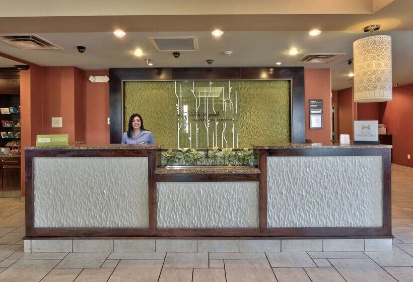 ホテル Hilton Garden Inn Albuquerque Airport