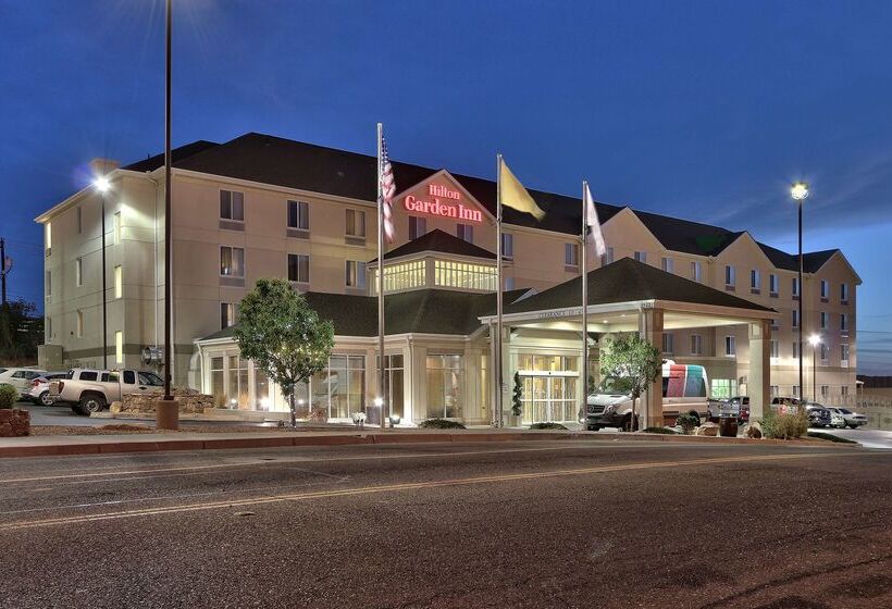 ホテル Hilton Garden Inn Albuquerque Airport