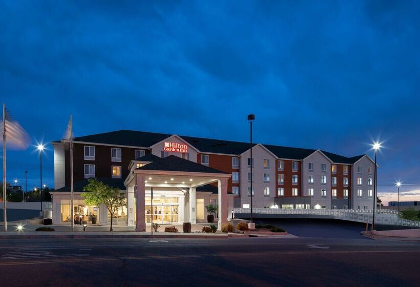 ホテル Hilton Garden Inn Albuquerque Airport