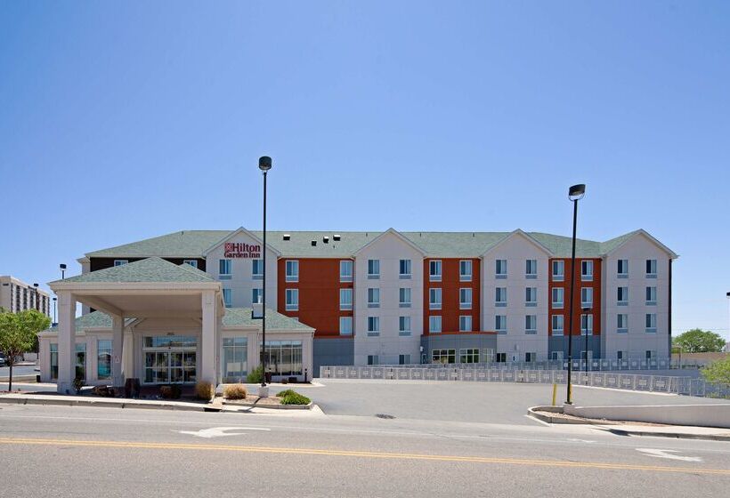 ホテル Hilton Garden Inn Albuquerque Airport