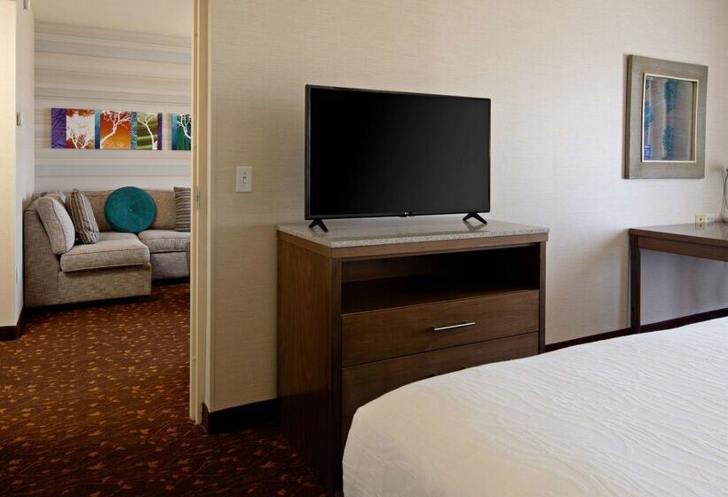 هتل Hilton Garden Inn Albuquerque Airport