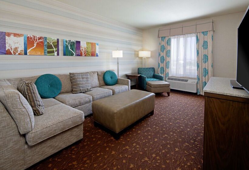 ホテル Hilton Garden Inn Albuquerque Airport