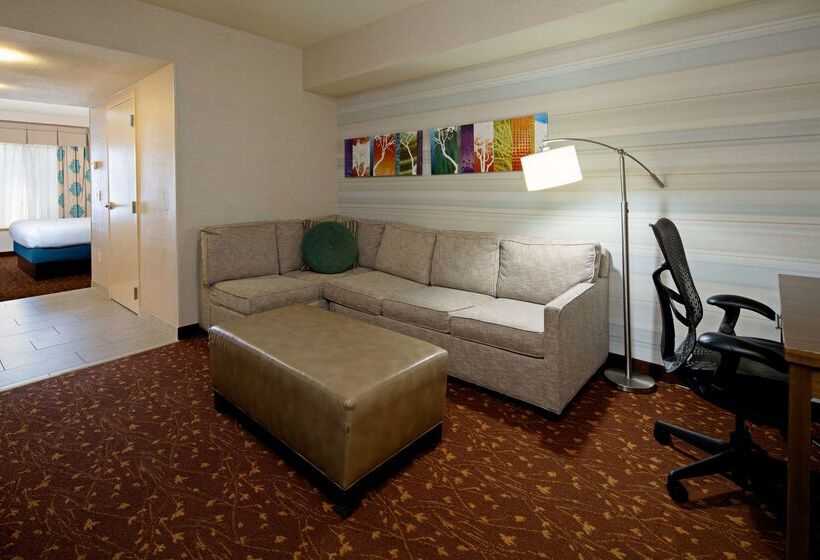 ホテル Hilton Garden Inn Albuquerque Airport