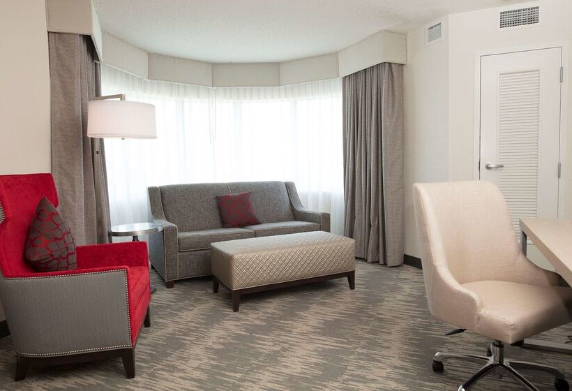 فندق Hilton Garden Inn Athens Downtown