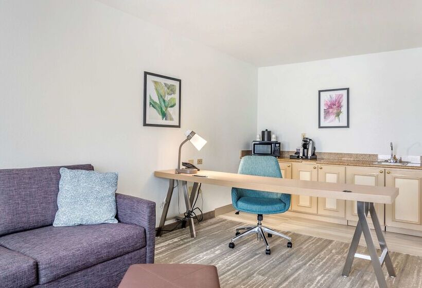 فندق Hilton Garden Inn Atlanta Ne/gwinnett Sugarloaf