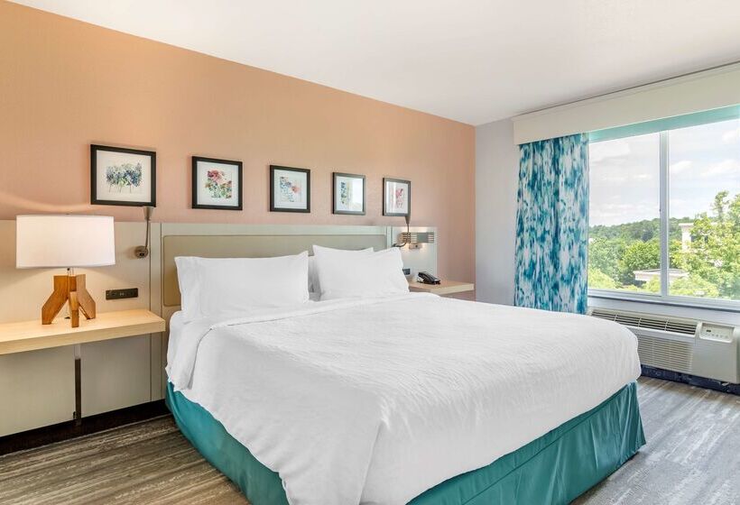 فندق Hilton Garden Inn Atlanta Ne/gwinnett Sugarloaf