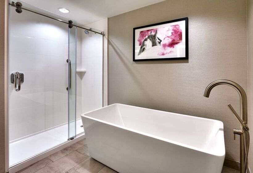 هتل Hilton Garden Inn Bozeman