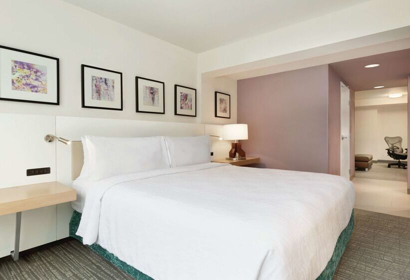 فندق Hilton Garden Inn Bridgewater