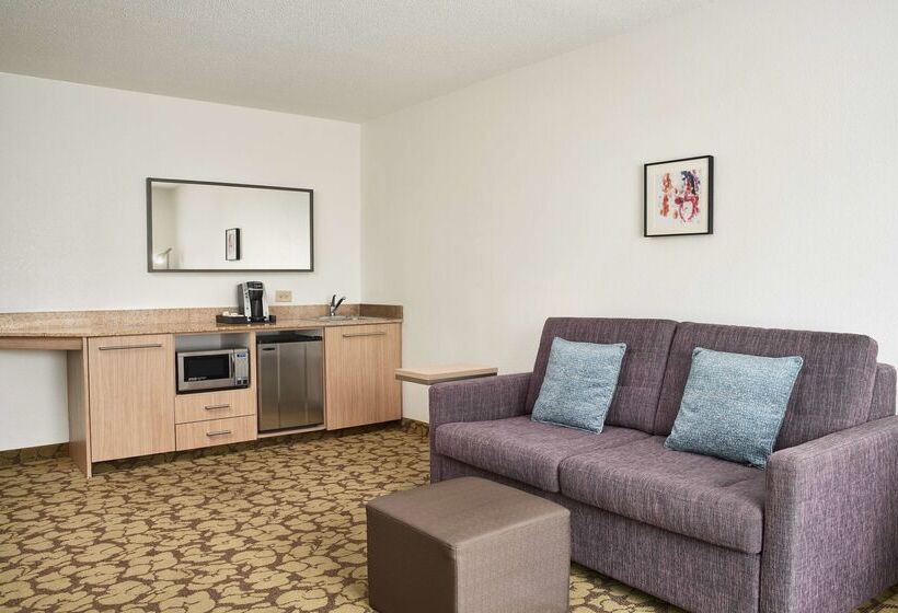 בית מלון כפרי Hilton Garden Inn Columbus