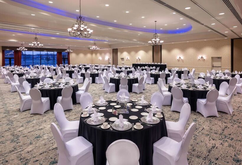 ホテル Hilton Garden Inn Dallas Lewisville