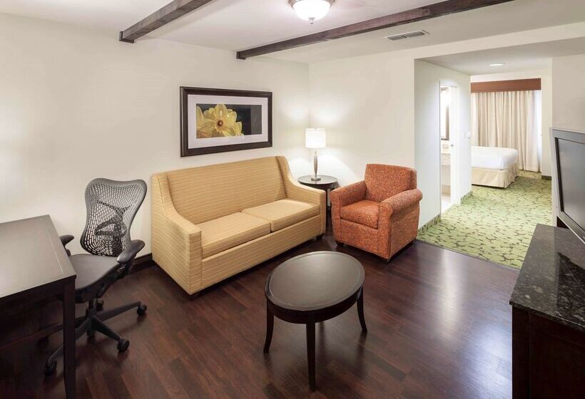 호텔 Hilton Garden Inn Dallas Lewisville