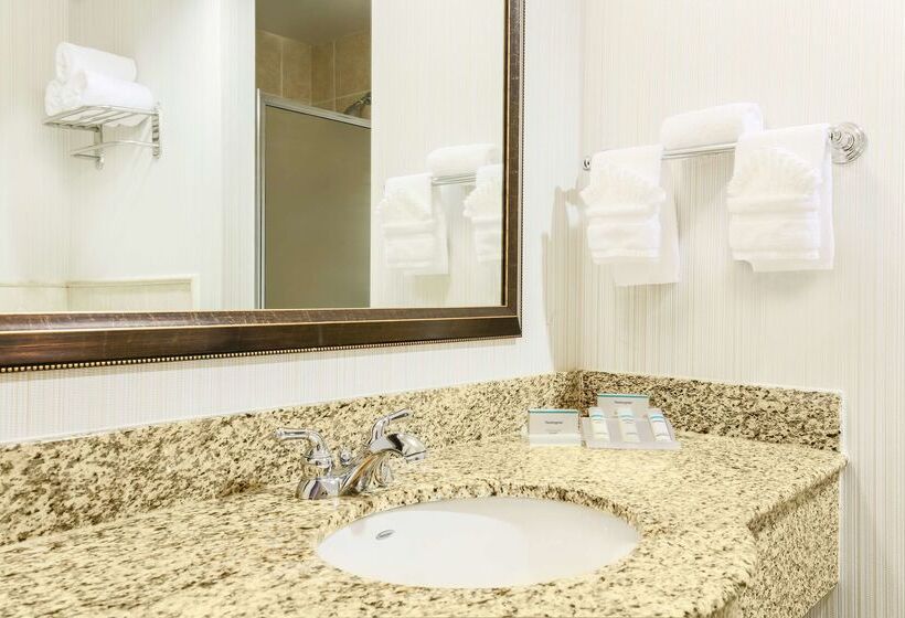 ホテル Hilton Garden Inn Dallas Lewisville