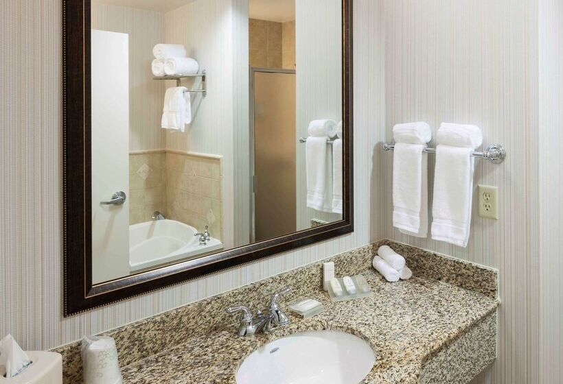 호텔 Hilton Garden Inn Dallas Lewisville