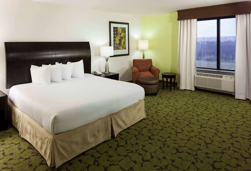 ホテル Hilton Garden Inn Dallas Lewisville