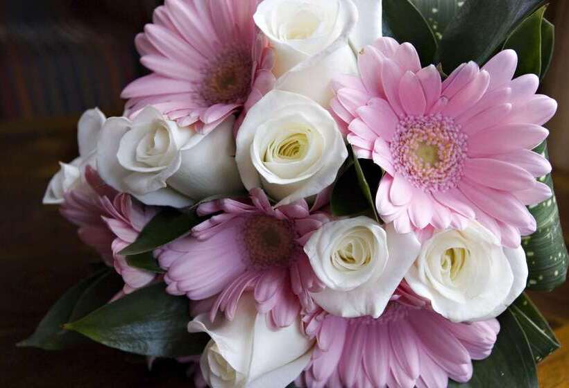 هتل Hilton Garden Inn Danbury