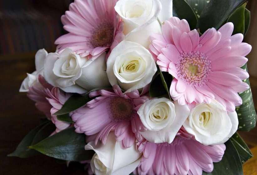 هتل Hilton Garden Inn Danbury