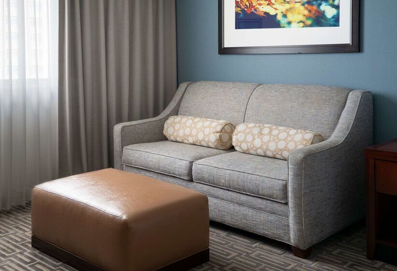 Отель Hilton Garden Inn Denver Downtown